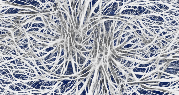 Nerve cells
